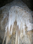 Carlsbad-Caverns-New-Mexico_1