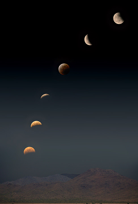 8694__24_