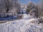 Afbeelding_6_206