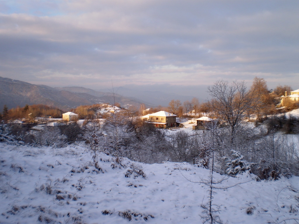 Afbeelding_6_215