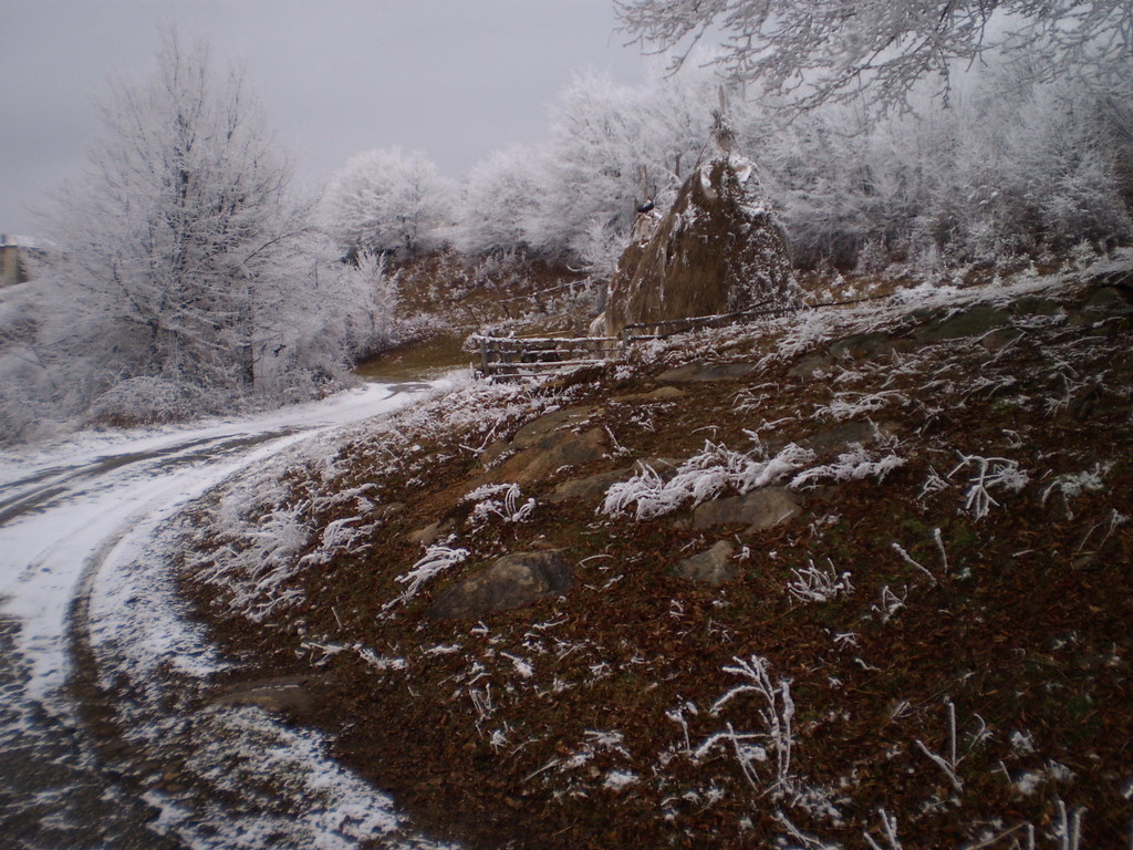 Afbeelding_6_491-1