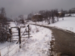 Afbeelding_6_563-1