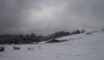 Afbeelding_6_567