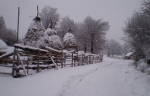 Afbeelding_6_610-1