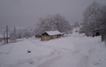 Afbeelding_6_611-1