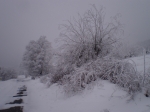 Afbeelding_6_618
