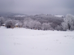 Afbeelding_6_630-1