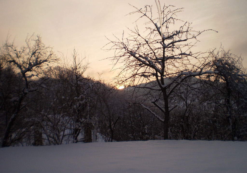 Afbeelding_6_734