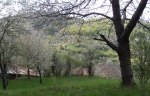 BULGARIJE_-_2012_-003