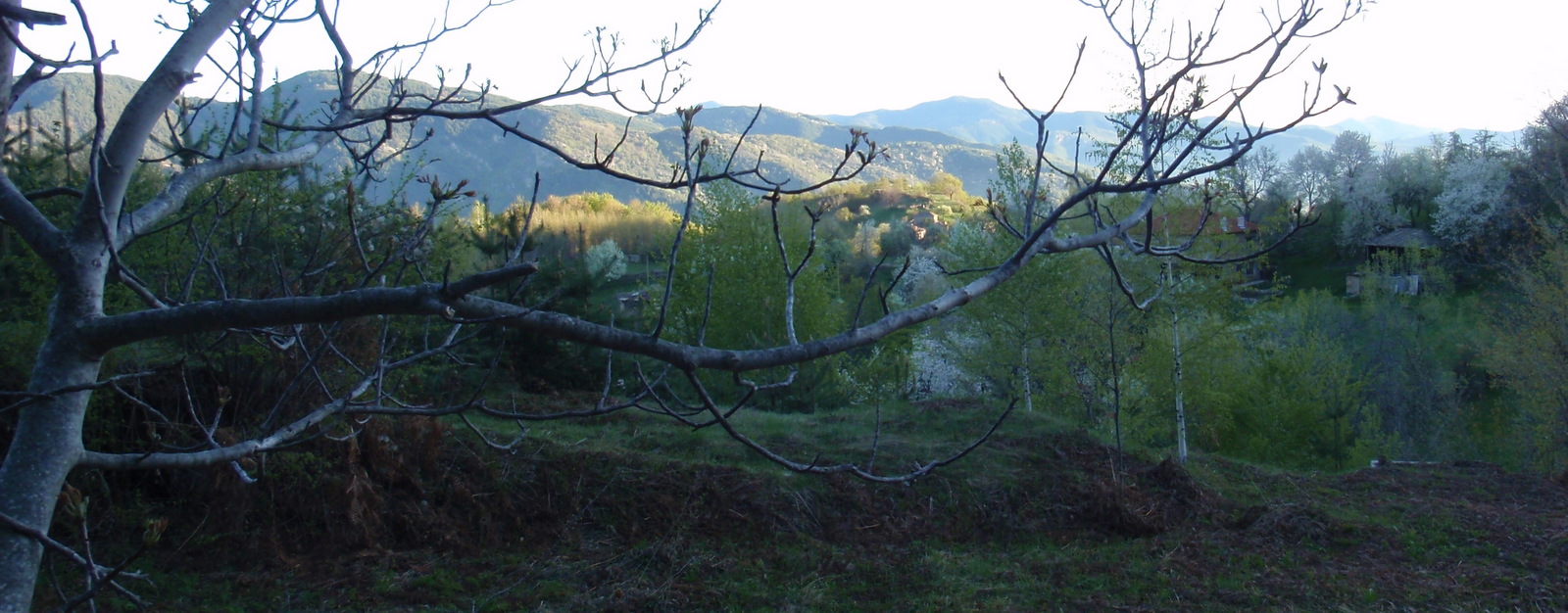 BULGARIJE_-_2012_-009