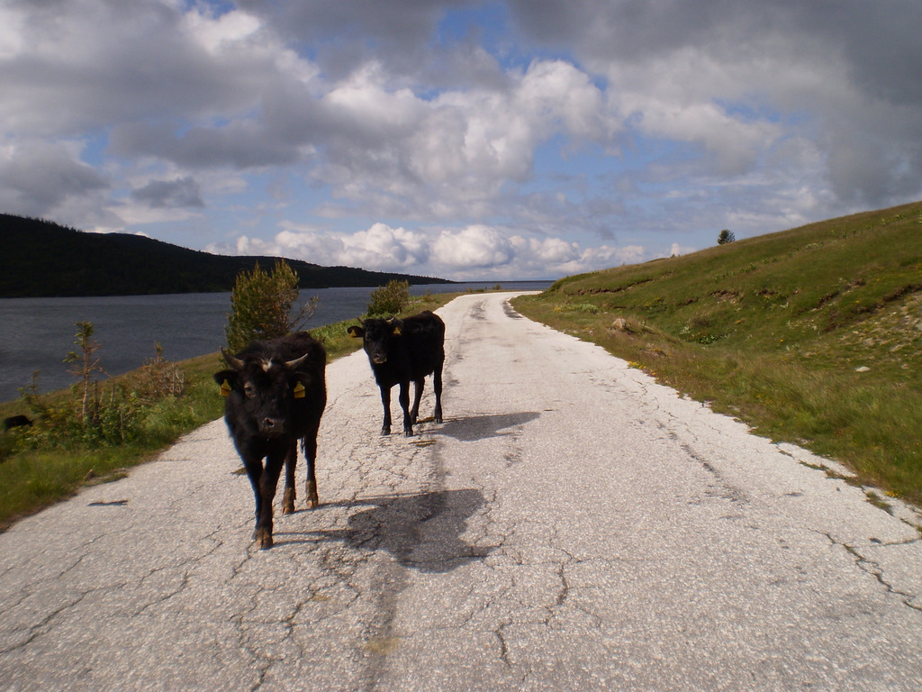 Bulgarije_-_Zomer_2011_-_1_096
