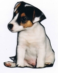 Oppi as Pup