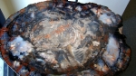 DSC01171_1280659533