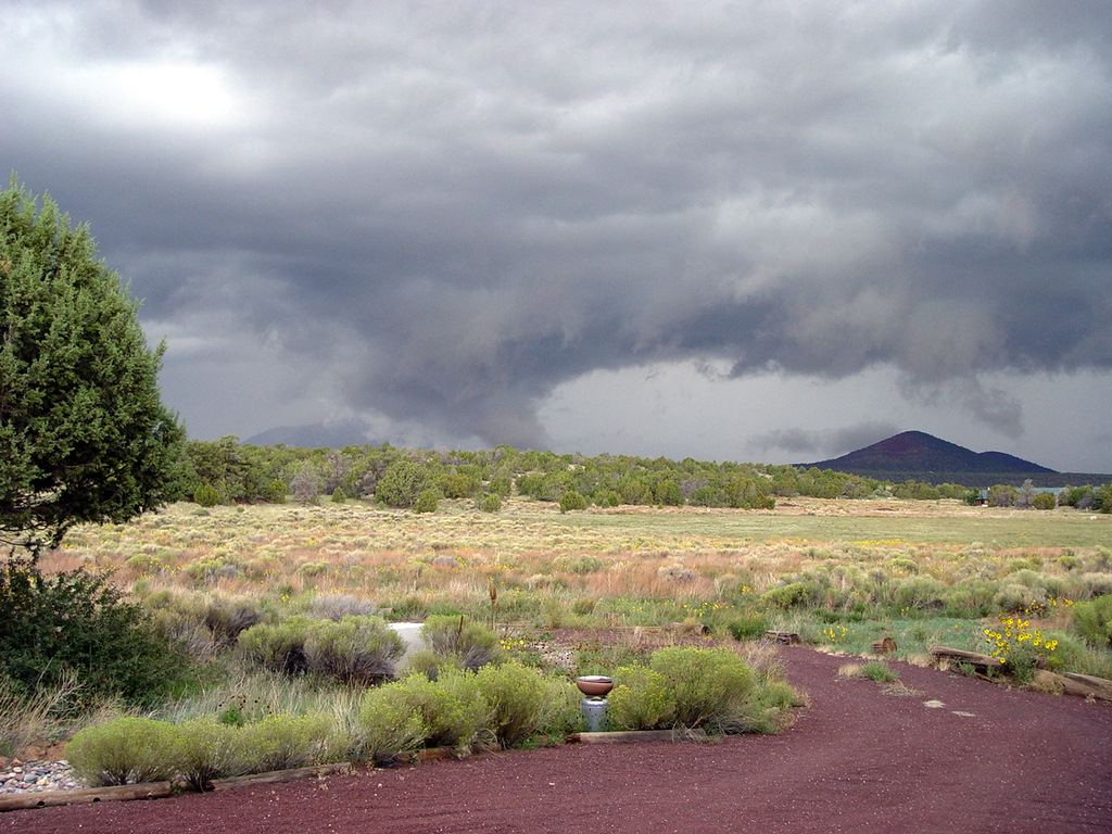 Infant_20Tornado_20Sep_2006_20001