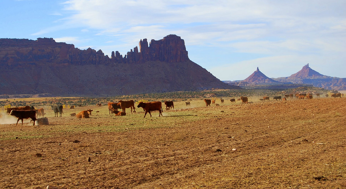 Canyonlands