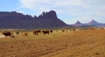 Canyonlands