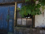 eppo_99_020