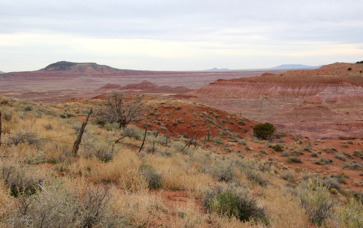 painted-desert-11112006-073