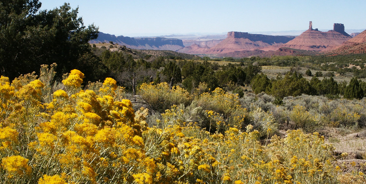 Canyonlands
