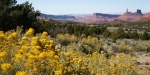 Canyonlands